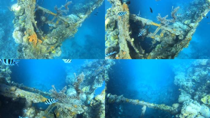 骷髅击毁了第二次世界大战在菲律宾科伦湾的日本军用炮舰 “Tangat”