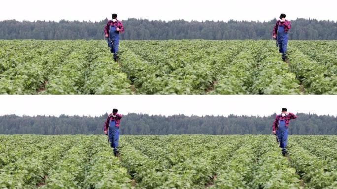 一个年轻的农民在工作服和带有喷雾器的呼吸器在马铃薯田里的肖像