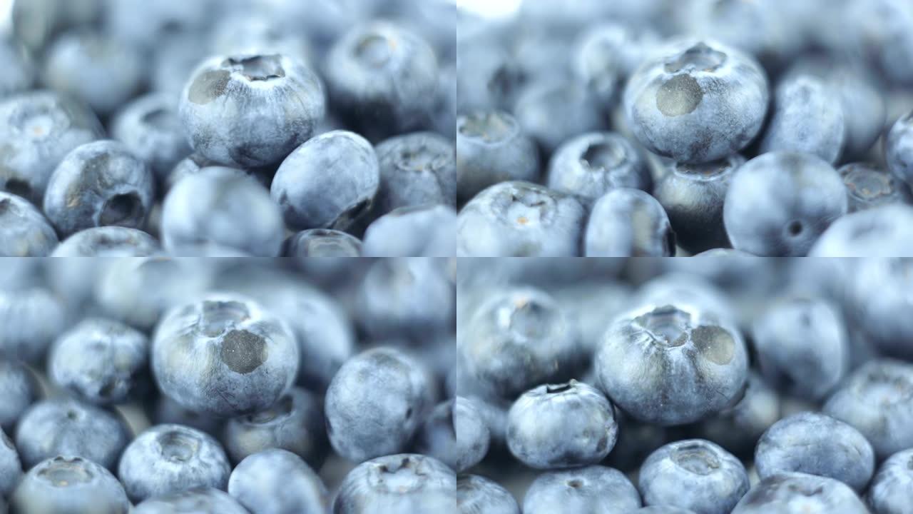 新鲜的有机蓝莓放在盘子上。旋转新鲜多汁的蓝莓特写。
