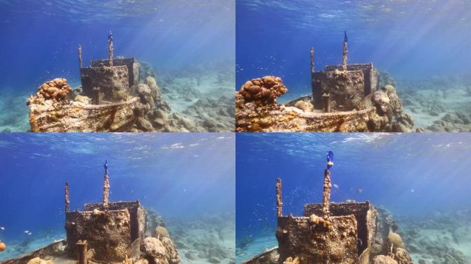 沉船“拖船”在浅水的珊瑚礁在加勒比海域库拉索旗，观察表面和阳光