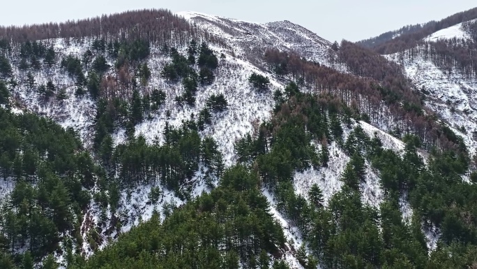 雪 山 风 电 4K航拍视频