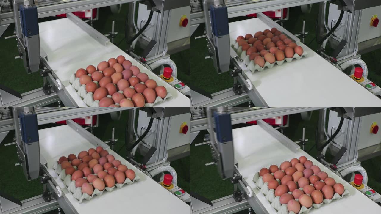 鸡蛋输送机