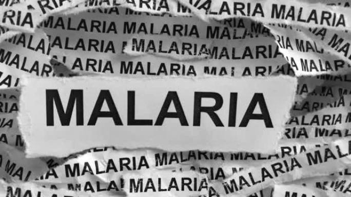 疟疾。撕碎的纸片上有疟疾这个词
