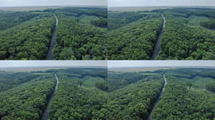 横穿森林的空中拍摄。人类在自然森林上的足迹。人类对自然的人为影响。保护地球和拯救地球的概念。