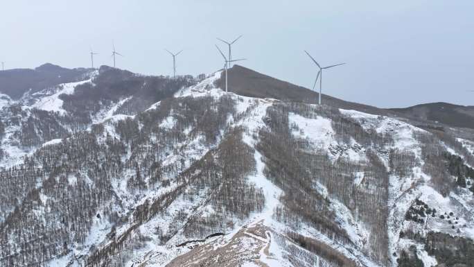 雪山 风电 树 4K航拍 群山