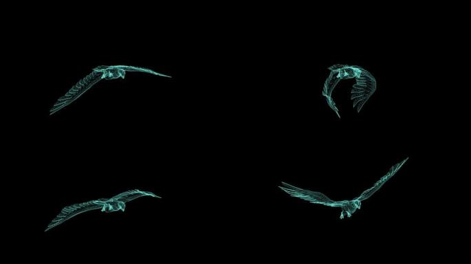 绿色屏幕上孤立的猎鹰滑行和拍打的线框3d动画