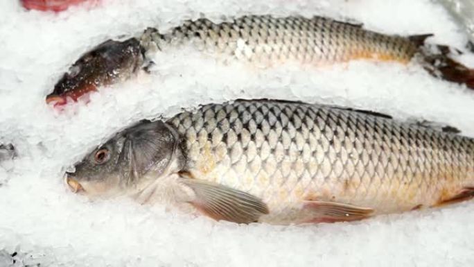 新鲜的鱼，大卖场柜台上的冰上鲤鱼，市场，出售