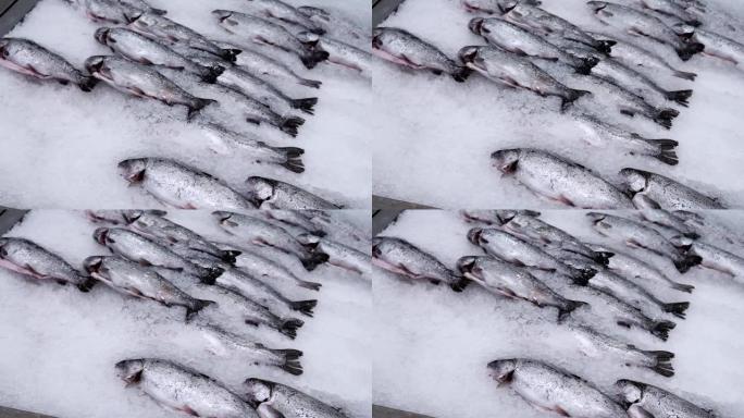 冰上鲜鱼鲑鱼鳟鱼，在杂货店大卖场出售冷冻鱼