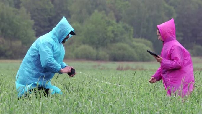 雨中穿着雨衣的农民或农艺师使用平板电脑在飓风过后检查并测量田间的麦芽