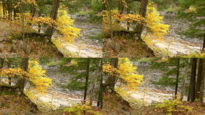 美丽的地质构造在秋天的多彩风景中发生了变化