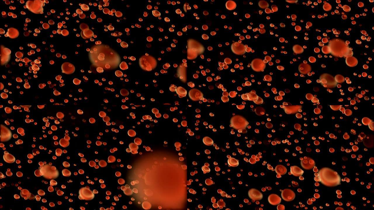 黑色背景上红血球的动画