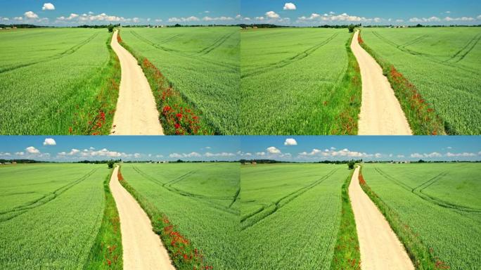 乡村绿地和乡村道路的鸟瞰图