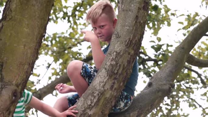 一个男孩在休闲度假时坐在树上。显示一个手势看着你