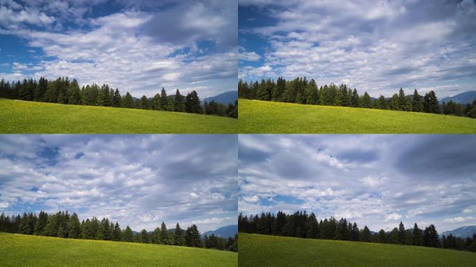 夏季草地时间流逝草原延时生态环境自然景色