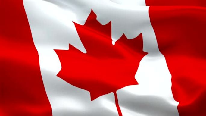 加拿大国旗随风飘扬。现实的加拿大国旗背景。红枫叶旗特写1080p高清视频。渥太华1080p全高清19