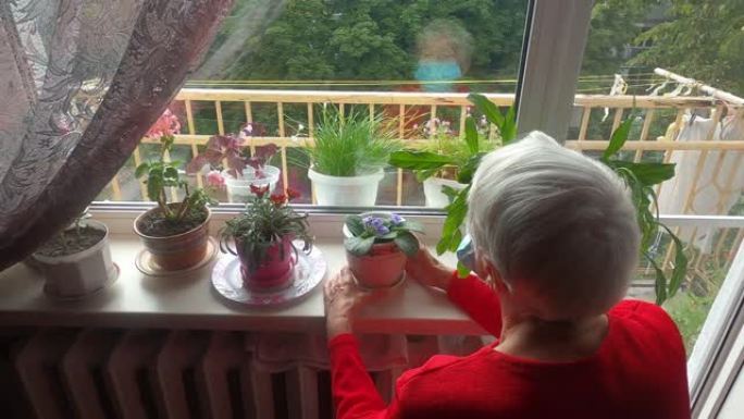 新型冠状病毒肺炎、健康、安全和流行病的概念 -- 坐在窗户附近的老年孤独女子