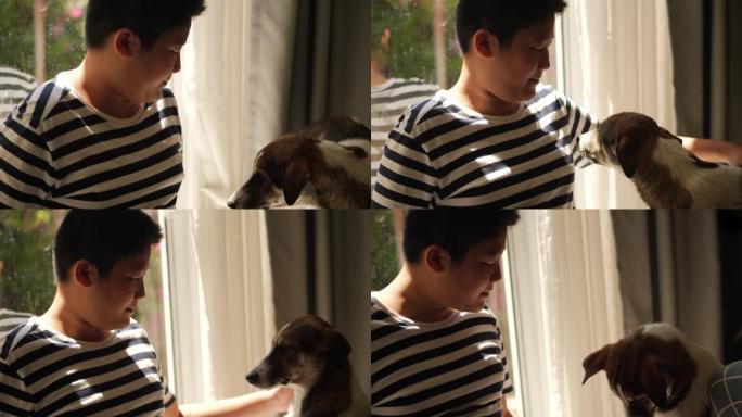 快乐的亚洲男孩在家里用窗户灯和他的狗玩耍。