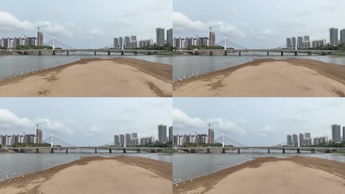 航拍海南陵水县陵水河椰林大桥 生态环境