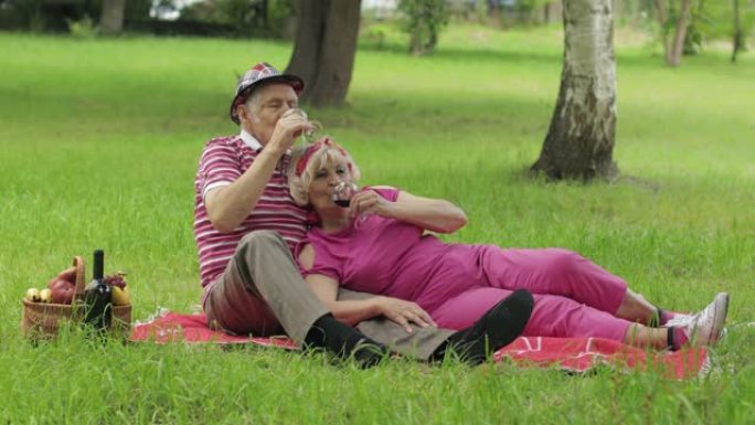 公园的家庭周末野餐。老年夫妇坐在毯子上喝酒。接吻。爱