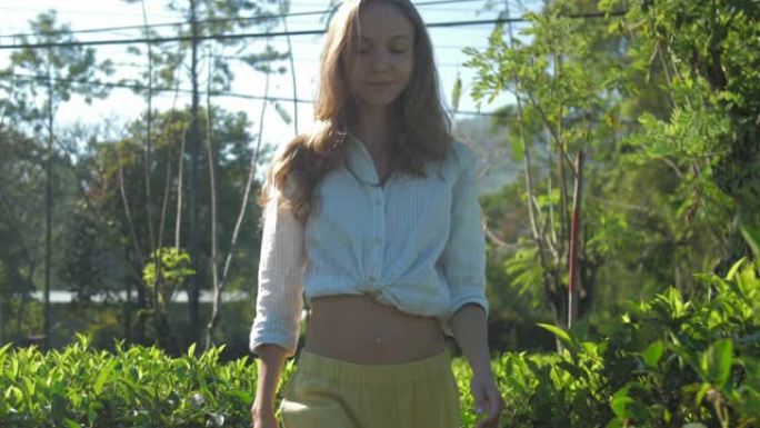 一个漂亮的金发姑娘慢悠悠地走在绿茶种植园里