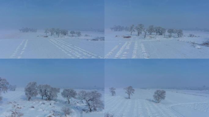 中国吉林雾凇岛雪景