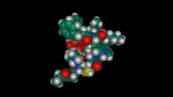 人体激素somatostatin-14的动态3D空间填充模型，黑色背景
