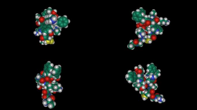 人体激素somatostatin-14的动态3D空间填充模型，黑色背景