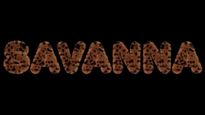 3d动画文本拼写稀树草原，由愤怒的豹纹字母制成