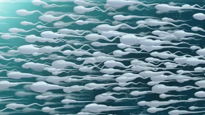 精子细胞游泳精子粒子穿梭三维动画怀孕过程