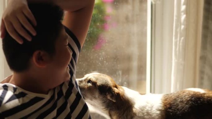 快乐的亚洲男孩在家里用窗户灯和他的狗玩耍。
