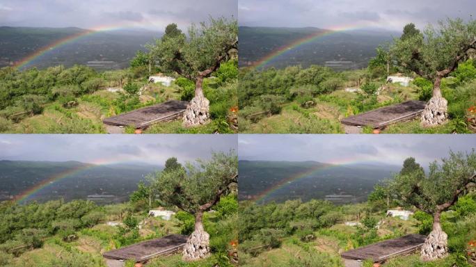 意大利西西里岛，蔬菜园和橄榄树上空的彩虹