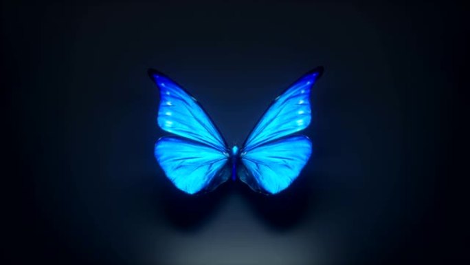 一只美丽的蓝色蝴蝶的3d动画