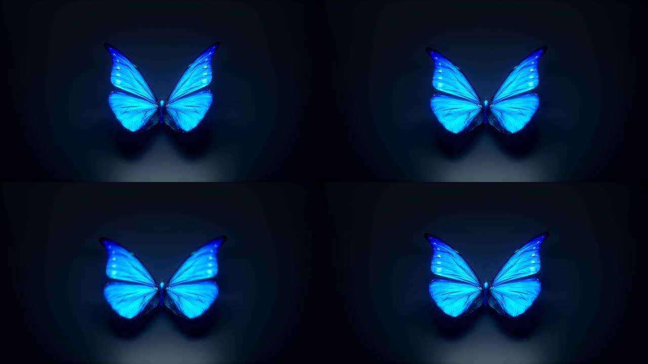 一只美丽的蓝色蝴蝶的3d动画
