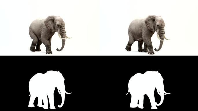 奔跑大象的CG渲染。循环动画。