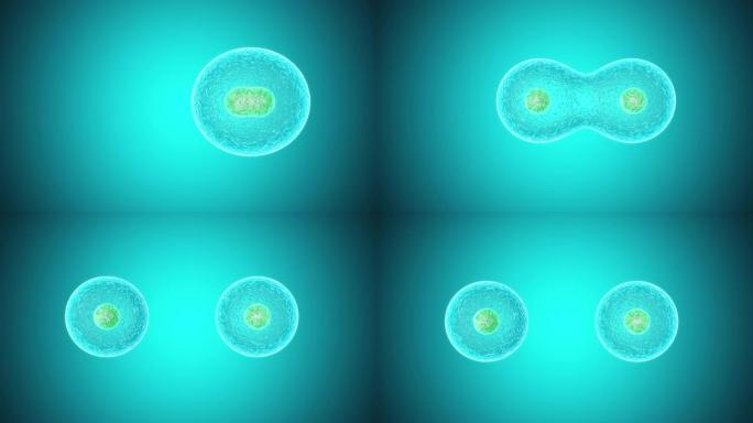 青色背景上分裂细胞的3D动画。