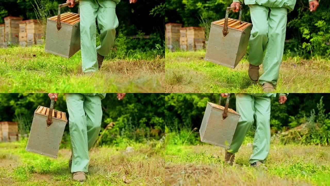 养蜂人提着一个装有蜂窝的盒子，他的脚在养蜂场上。养蜂人穿着防护服带着一盒梳子穿过养蜂场。底视图。4k