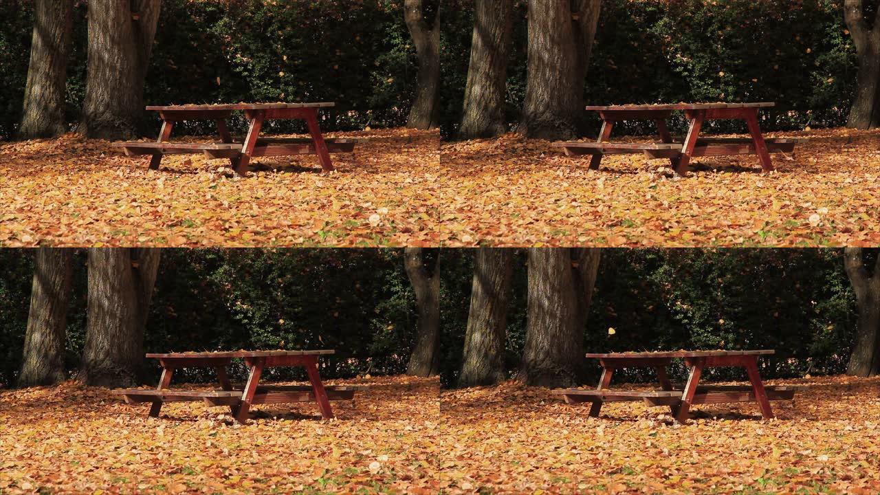秋天的树叶落在公园的桌子上