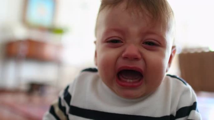 男婴发脾气。幼儿哭泣。寻求支持的幼儿