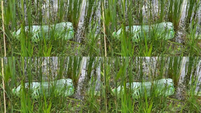 塑料瓶漂浮在水中，4k视频，水污染特写