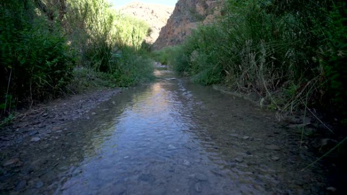 河水中清澈的水流