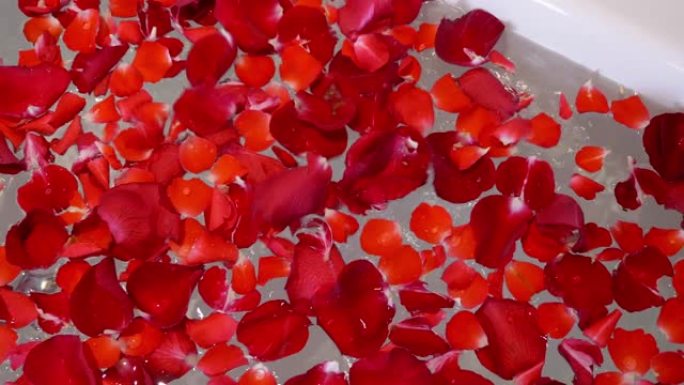 红玫瑰花瓣在浴缸里落水。充满玫瑰花瓣的浴缸。
