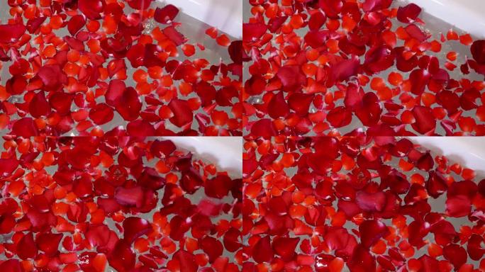 红玫瑰花瓣在浴缸里落水。充满玫瑰花瓣的浴缸。
