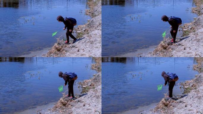 男孩正在用蝴蝶网户外自然探索河上的青蛙。