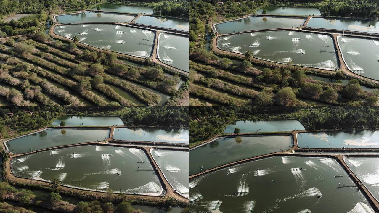 虾场鸟瞰图，池塘种植鱼虾和其他海鲜