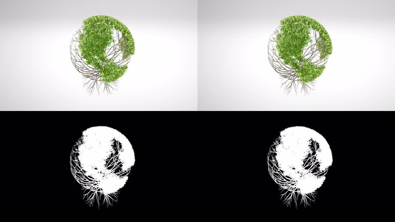 生长的树，与叶子形成球形。地球树概念。环球世界树概念。