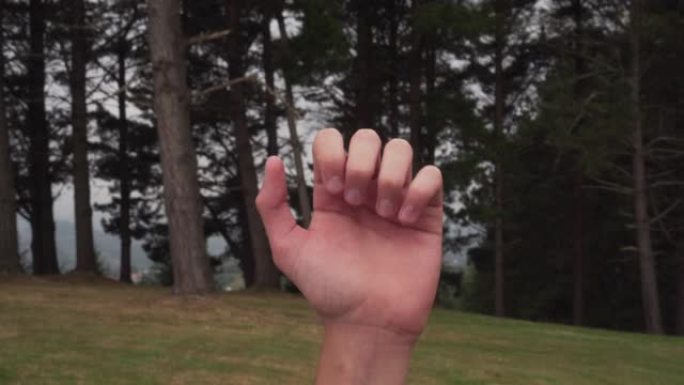 年轻人在绿草丛生的山上针叶林的背景下握紧拳头
