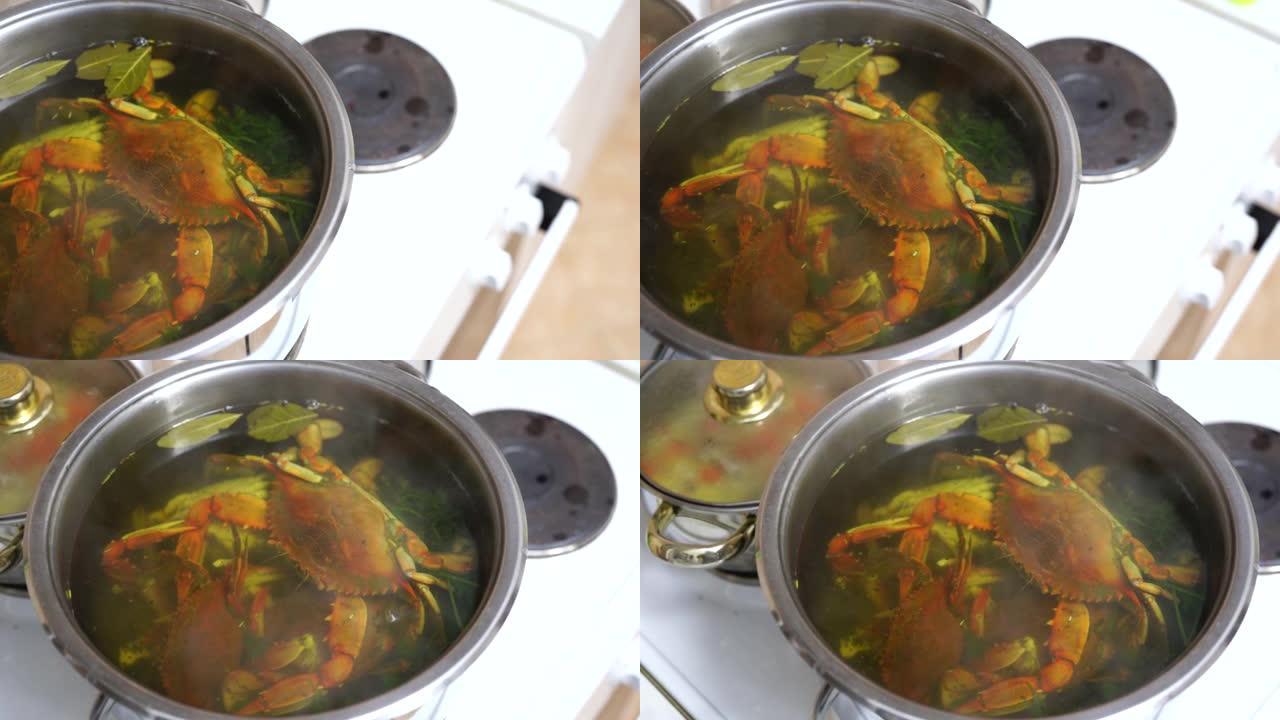 红煮蓝蟹在平底锅中放入沸水中煮沸。