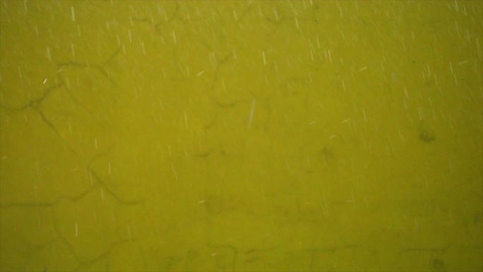 黄墙慢动作下雨