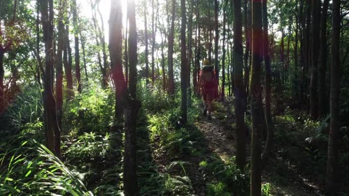 女子徒步旅行者在日出森林山径徒步旅行的航拍镜头，镜头耀斑