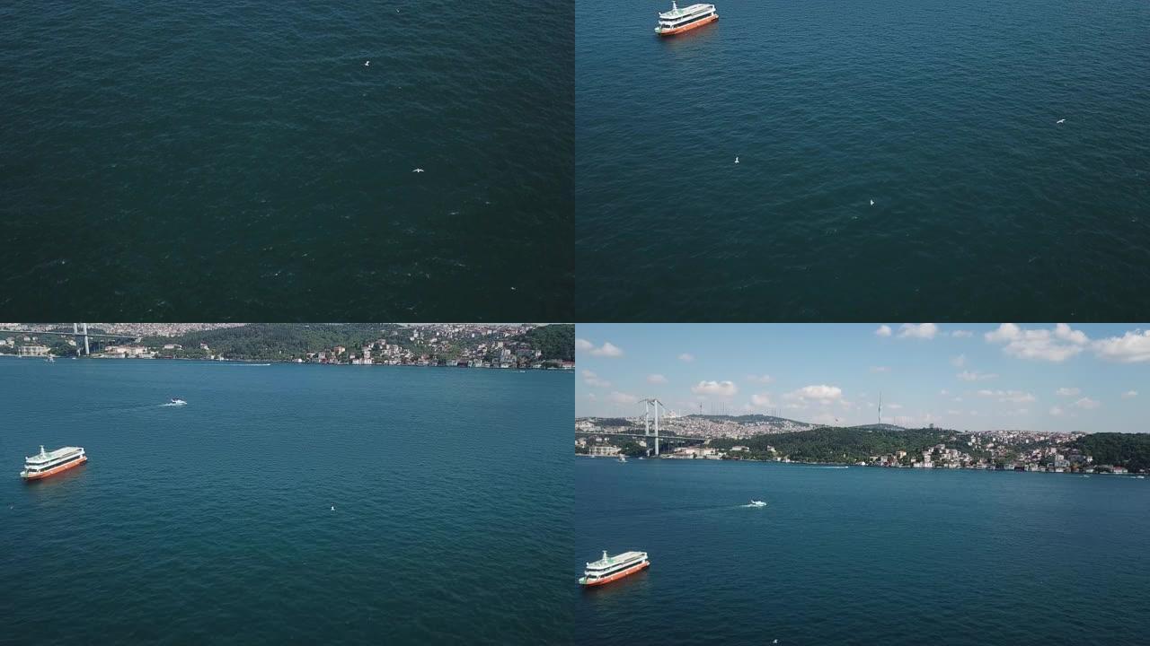 海鸥在伊斯坦布尔海峡城市景观中飞翔